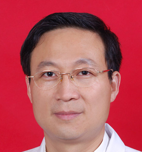 陈栋