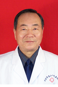高树恩
