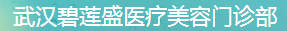 武汉碧莲盛医疗美容门诊部